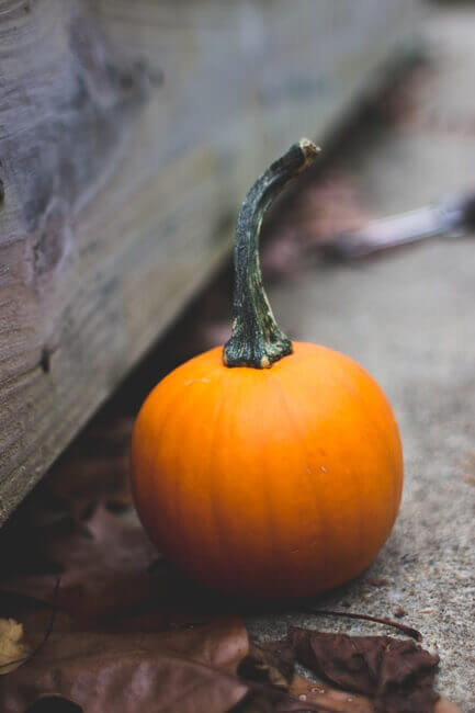 5 Factors that Can Increase or Decrease Crime Rates on Halloween Night