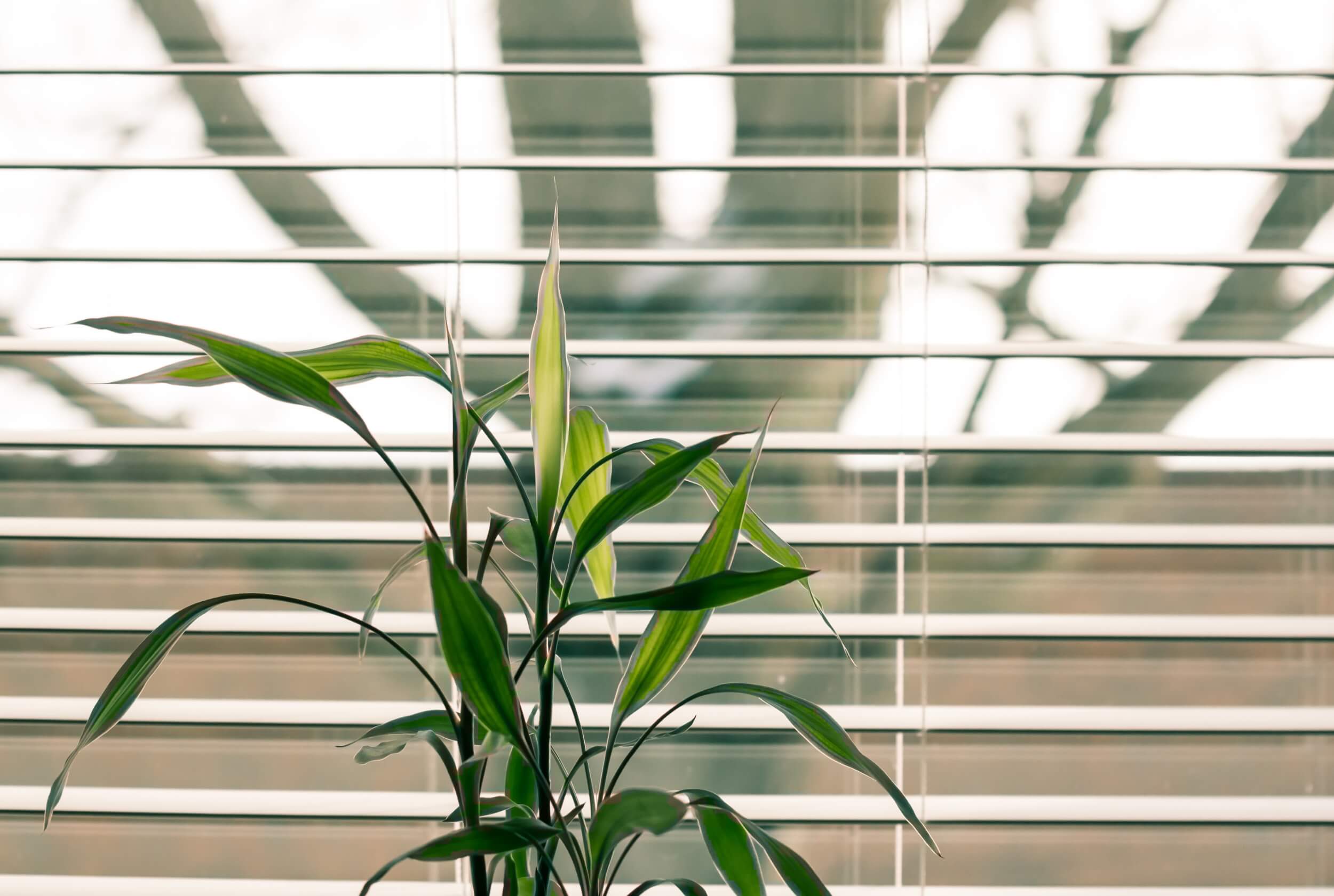 5 Steps to a Quick Home Security Inspection Before the Seasons Change